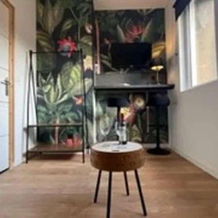 Appartement Le Jungle Boogie, - Conciergerie Leroy